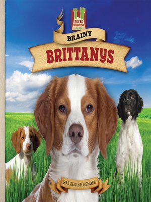 cover image of Brainy Brittanys